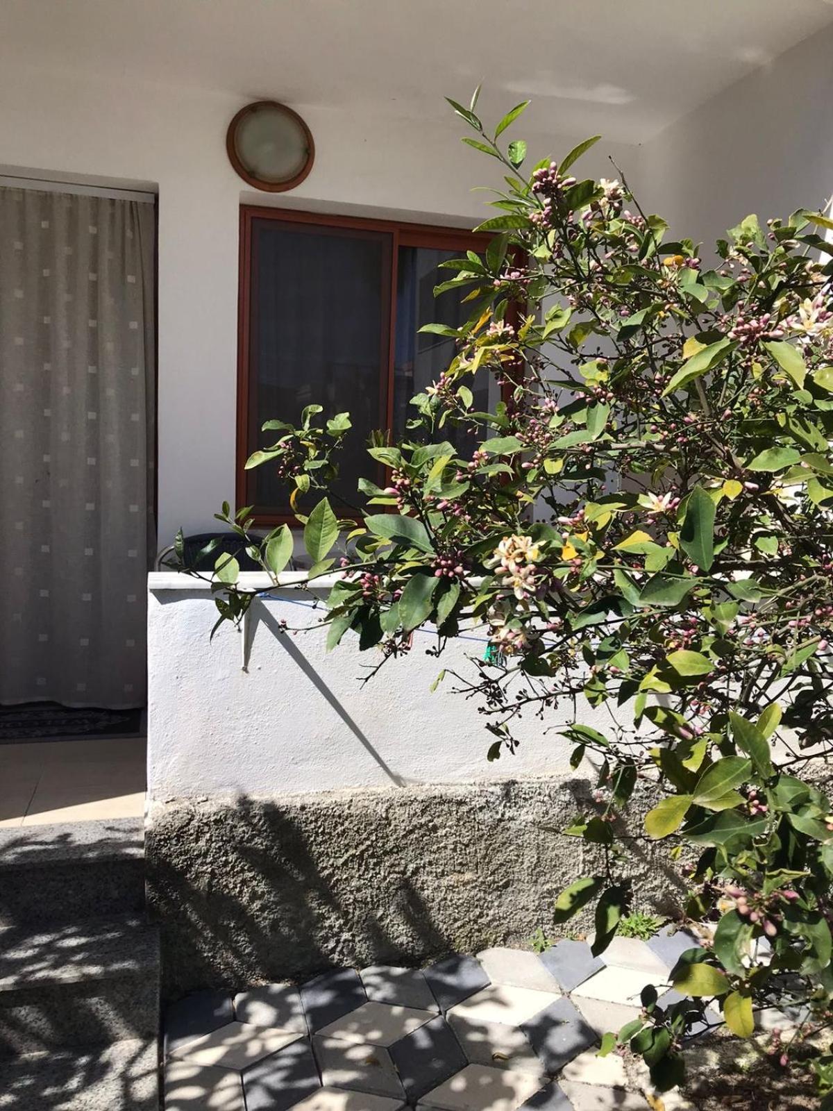 Vila Cano Hotel Драч Екстериор снимка